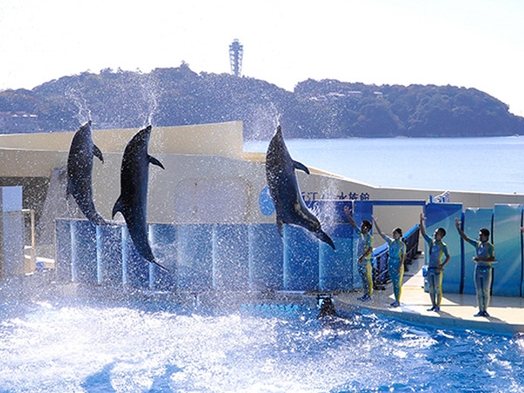 【楽天月末セール】新江ノ島水族館ペア入場券付プラン☆朝食付がお得♪